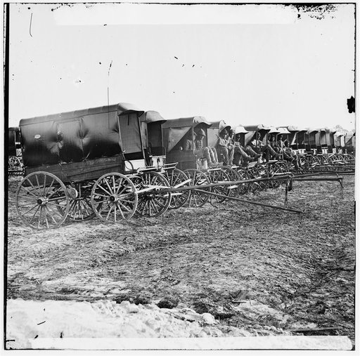 Virginia, City Point. Park of Army Wagons