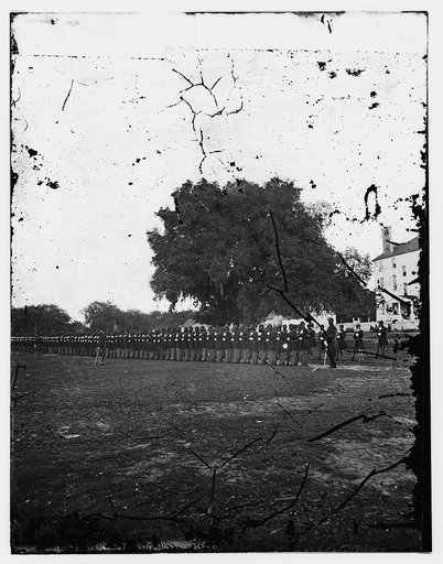 Beaufort, South Carolina. 29th Regiment from Connecticut