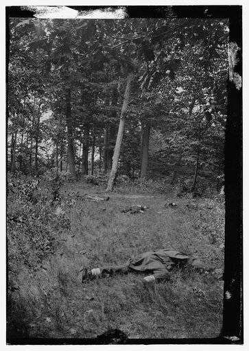 Dead on battlefield at 1st Bull Run