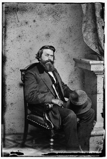 L.T. Wigfall, Brig. Gen. CSA
