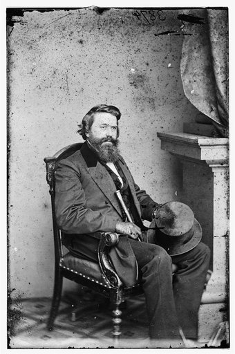 L.T. Wigfall, Brig. Gen. CSA