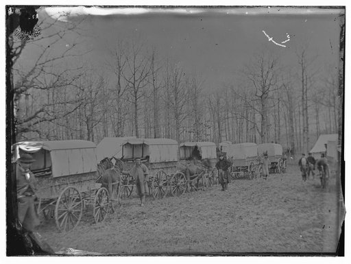Washington, District of Columbia. Ambulance train at Harewood Hospital. Miller. (v.7, p. 313, Ambulance train at City Point, Va.)