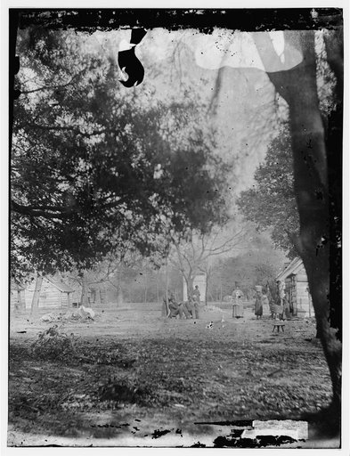 Port Royal Island, South Carolina. View on Mill's plantation