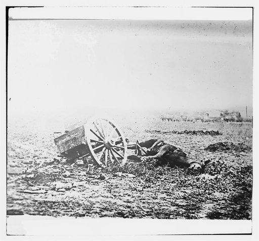 Gettysburg, Pennsylvania. Unfit for service. Artillery caisson and dead mule