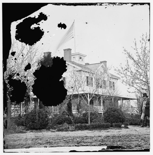 Arlington, Virginia (vicinity). Roche's house near Lee mansion Buds and blossoms of early spring