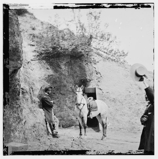 Yorktown, Virginia. Captain Perkin's "Sesesh" horse captured at Cornwallis cave