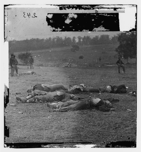 Gettysburg, Pennsylvania. Federal dead on the right of the Federal lines, killed on July 1