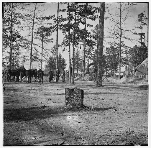 Richmond, Virginia (vicinity). Gen. David B. Birney's headquarters, 2nd Division, 10th Corps