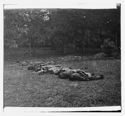 Gettysburg, Pennsylvania. [Confederate dead, view at the edge of the Rose woods, July 5, 1863