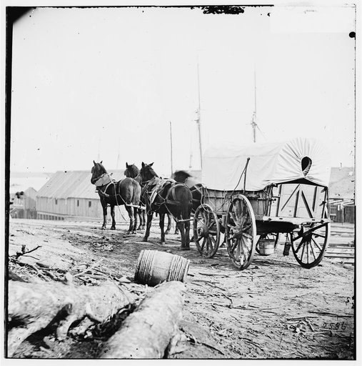 City Point, Virginia (vicinity). Four-mule army team and wagon