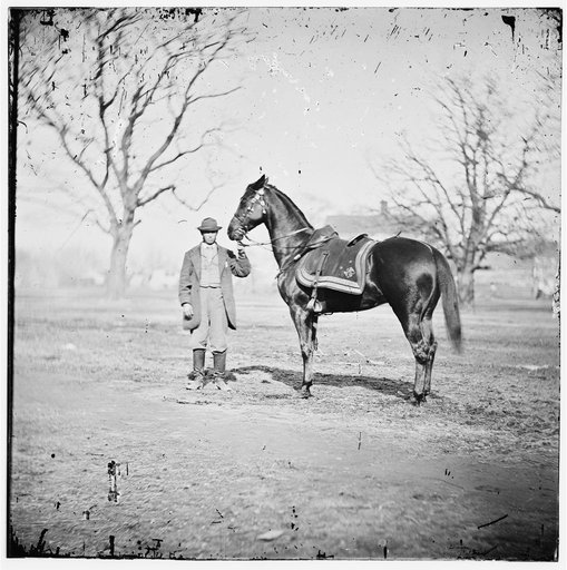 City Point, Virginia. Gen. U.S. Grant's horse, CINCINNATI