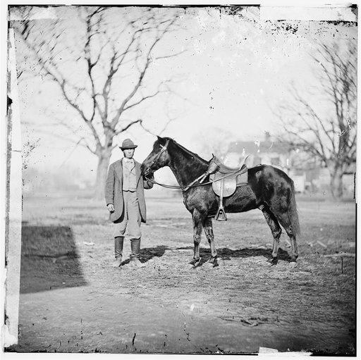 City Point, Virginia. Gen. U.S. Grant's horse. JEFF DAVIS
