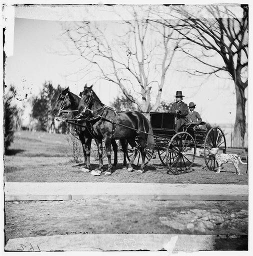 City Point, Virginia.] Gen. Rufus Ingalls in buggy with colored boy
