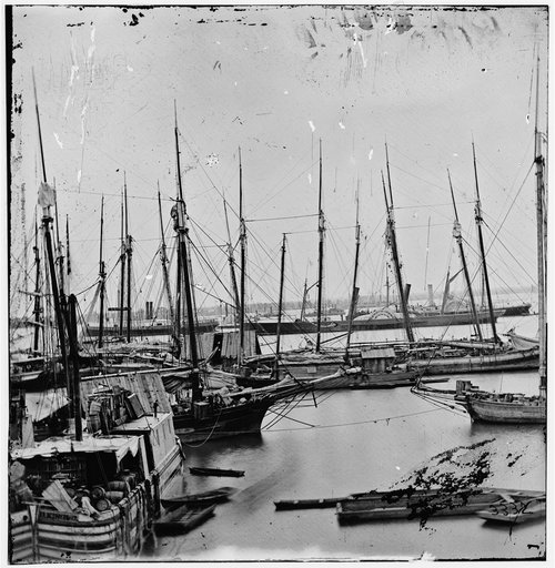 City Point, Virginia. View of transports