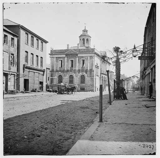 Charleston, South Carolina. Post office, East Bay Street, showing the only Palmetto tree in the city