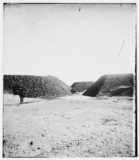 Savannah, Georgia (vicinity). View of Fort McAllister