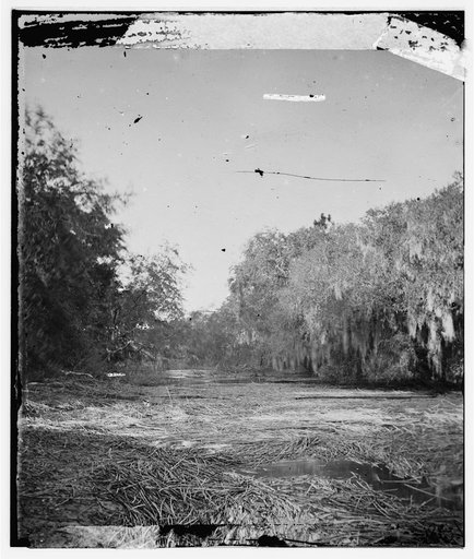 Hilton Head Island, South Carolina. Mud creek