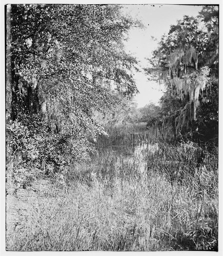Terrain on way from Savannah to Columbia