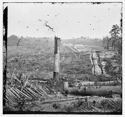 Atlanta, Georgia (vicinity). Fortifications
