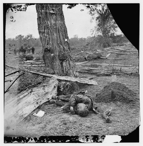Antietam, Maryland. Federal buried, Confederate unburied, where they fell