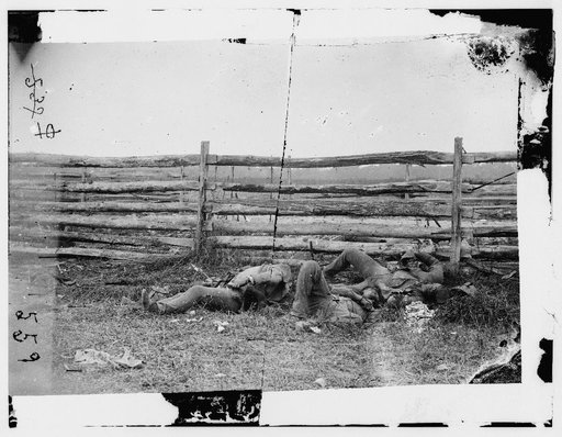 Antietam, Maryland. Dead of Stonewall Jackson's Brigade by rail fence on the Hagerstown pike