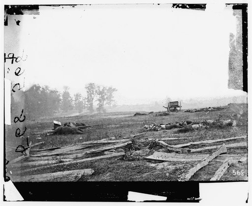 Antietam, Maryland. View where Sumner's Corps charged