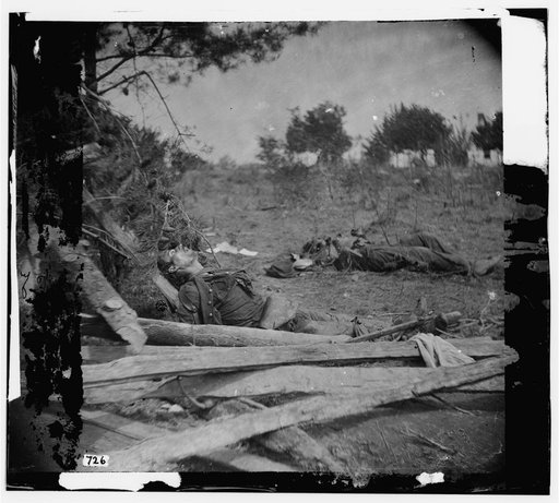 Spotsylvania Court House, Virginia. Bodies of Confederate soldiers near Mrs. Alsop's house