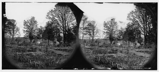 Richmond, Virginia. Graves of Confederate soldiers in Oakwood Cemetery