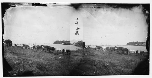Belle Plain, Virginia. Encampment of 2nd N.Y. and 1st Mass. Heavy Artillery