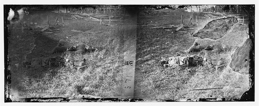 Antietam, Maryland. Battlefield near Sherrick's house where the 79th N.Y. Vols. fought after they crossed the creek. Group of dead Confederates
