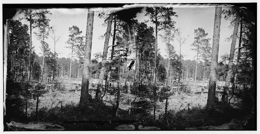 Cold Harbor, Virginia. Camp in the woods