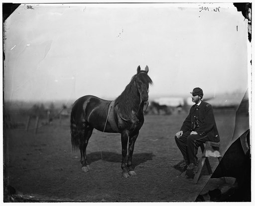 Brandy Station], [Virginia]. Lt. Chas W. Woolsey with horse headquarters Army of the Potomac