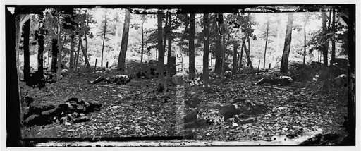 Gettysburg, Pennsylvania. Scene in the woods at the foot of Round Top