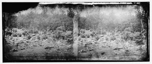 Gettysburg, Pennsylvania. "Slaughter Pen" on left wing