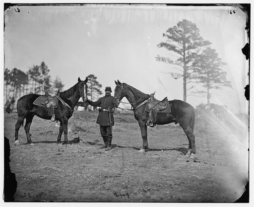 Falmouth, Virginia]. Col. George Henry Sharpe's horses, headquarters, Army of The Potomac