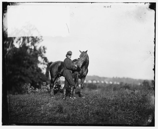 Culpeper, Virginia. Lt. Williston and horse. U.S. Horse Artillery