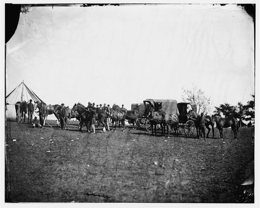 Culpeper, Virginia. Capt. Pierce's private horses, wagons, etc.
