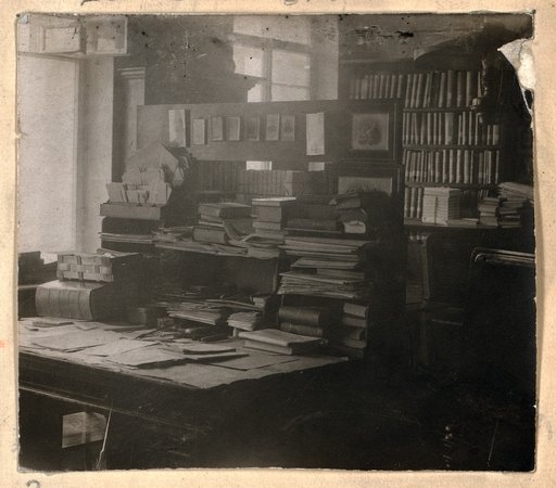 Kabinet L.N. Tolstogo. V I︠A︡snoĭ poli︠a︡ni︠e︡