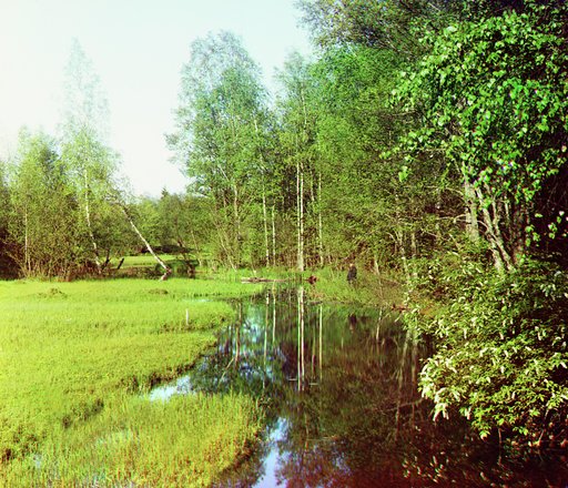 Cheremukha
