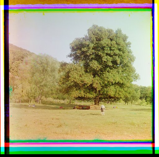V monastyrskom sadu