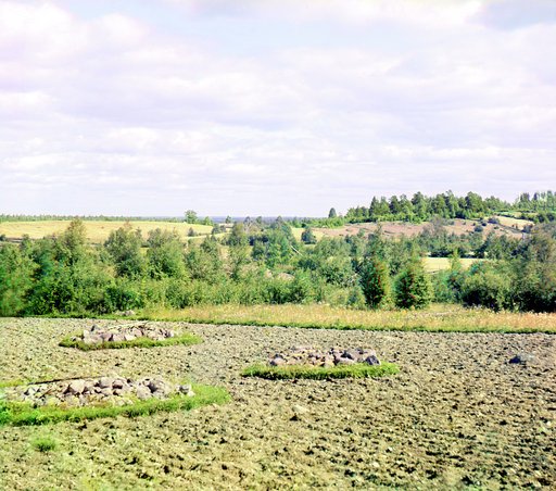 Pakhatnoe pole