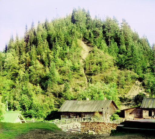 Medvi︠e︡zhʹi︠a︡ gora
