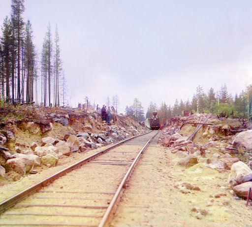 Railway near the Maselgskaia Station