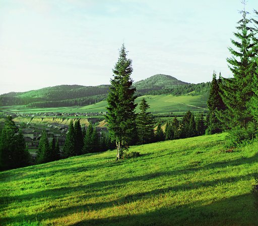 V gorakh u Simskago zavoda