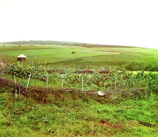 Ogorod bashkira. [Ekhʹia