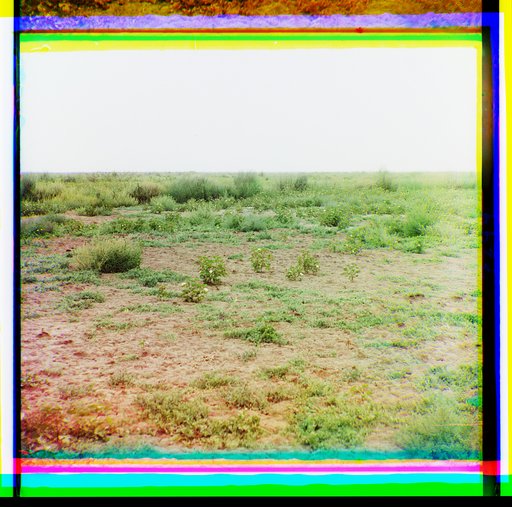 Nikolaevka. Ri︠e︡zkīĭ obrazchik dvukh sosi︠e︡dnikh planovykh uchastkov. Solonet︠s︡ 3 raza si︠i︡︠a︡n. Vidny tolʹko otdelʹnye kustiki khlopka. [Muganʹskai︠a︡ stepʹ