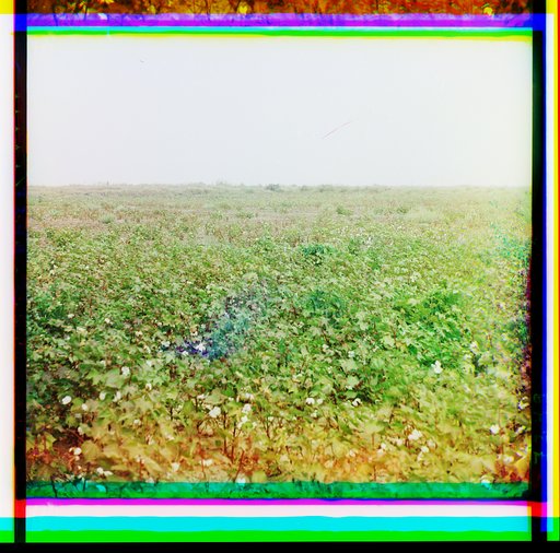 Muganʹ. Solonet︠s︡. Khlopok zhidok i plokh. Vdali sokhnet i ego ni︠e︡t. [Nikolaevka