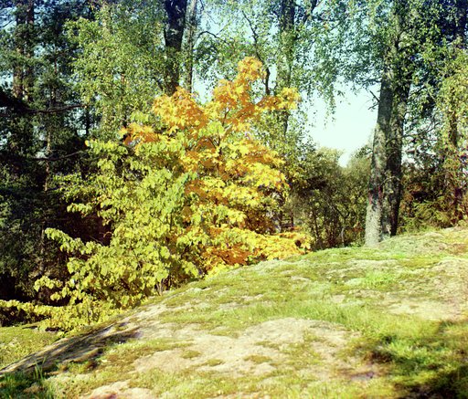 Azalīi