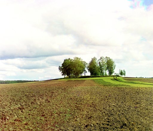 Shevardinskīĭ redut. Borodino