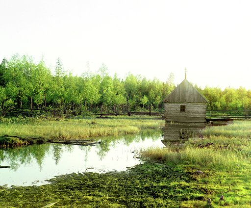 Istok Volgi. [Volgoverkhovʹe